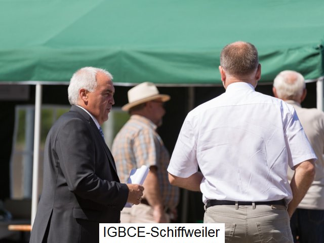 2015 Sommerfest mit Ehrungen